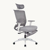 Ergonomic Office Chair C2