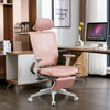 Ergonomic Office Chair C2