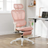 Ergonomic Office Chair C6