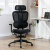 Ergonomic Office Chair C6