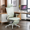 Ergonomic Office Chair C2